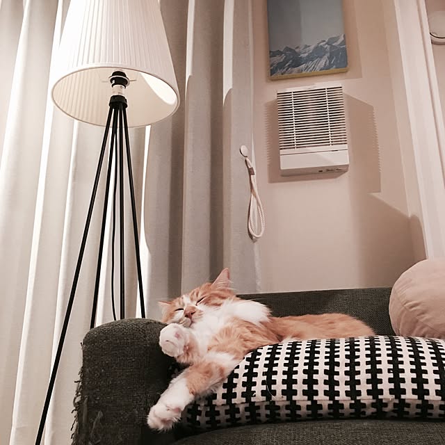 Reikoさんの実例写真