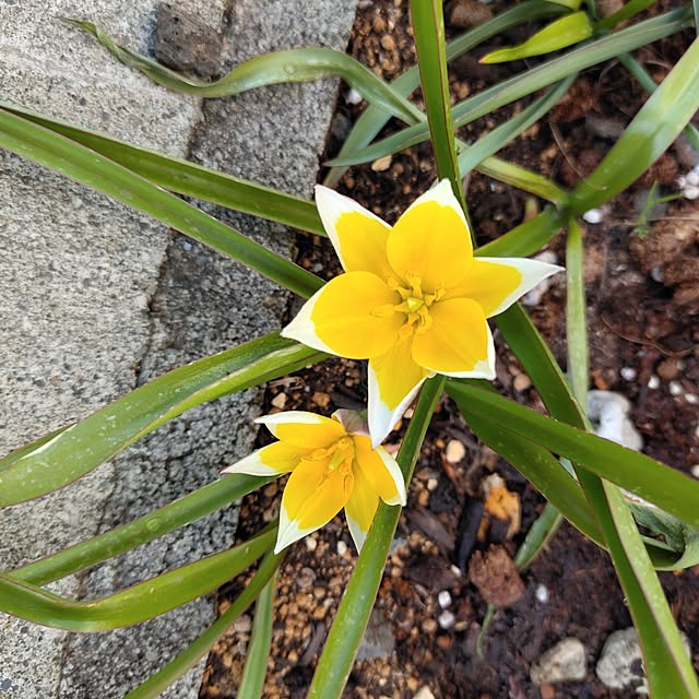 kiraさんの実例写真