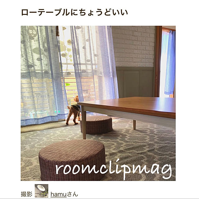 hamuさんの実例写真