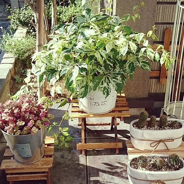 cherryさんの実例写真