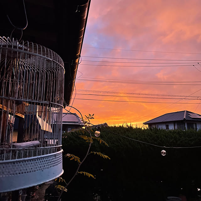 shin0719さんの部屋