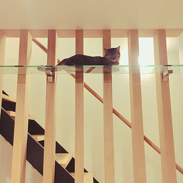 cleo1213さんの実例写真