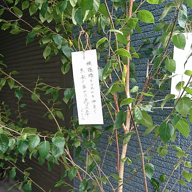 Matsu62さんの実例写真