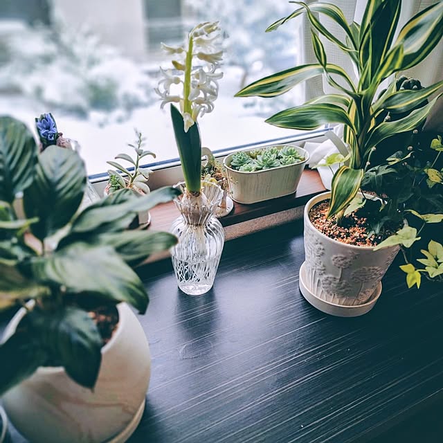 coconathuさんの部屋