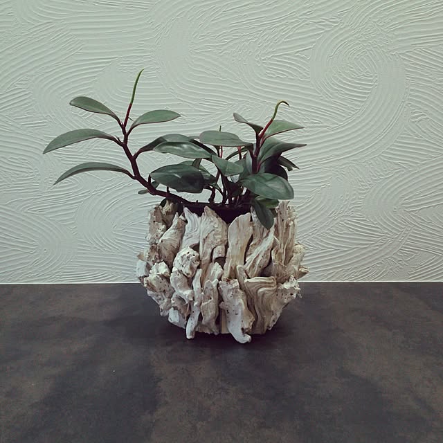 s.tnei83さんの実例写真