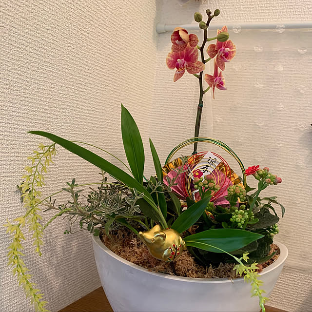 Mizukkuさんの実例写真