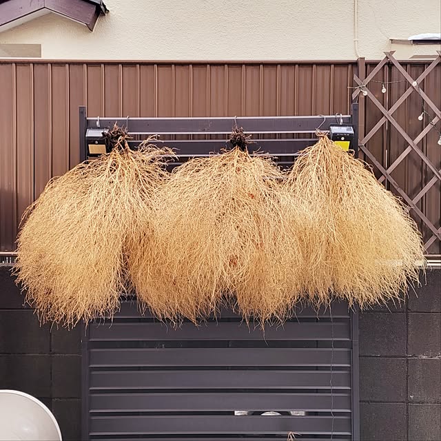 suzuさんの実例写真