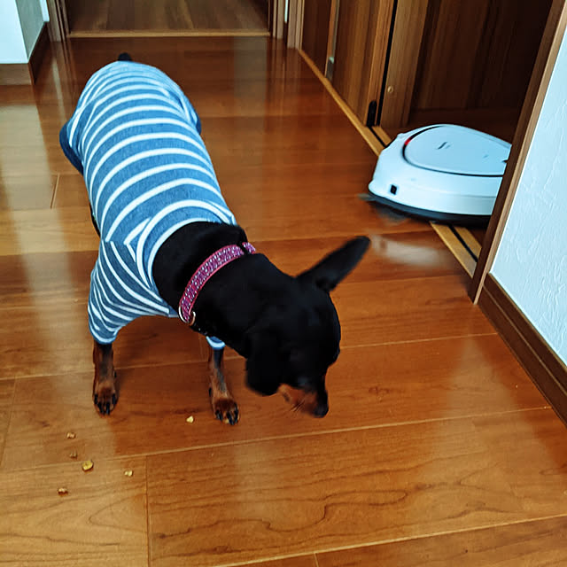 shizuponさんの実例写真