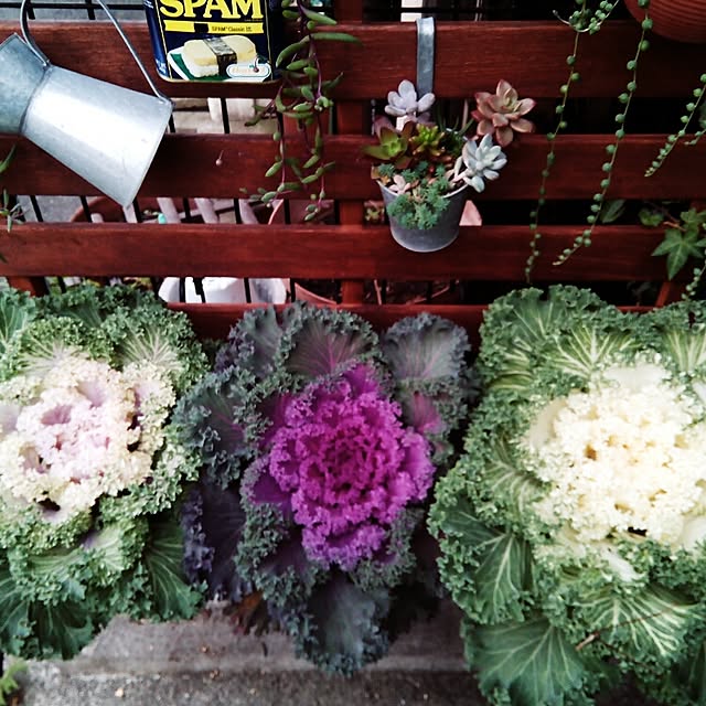 VERANDARJUNさんの実例写真
