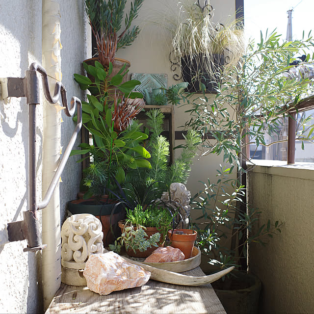 SHINPEIさんの実例写真