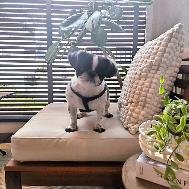 yukotanさんの部屋