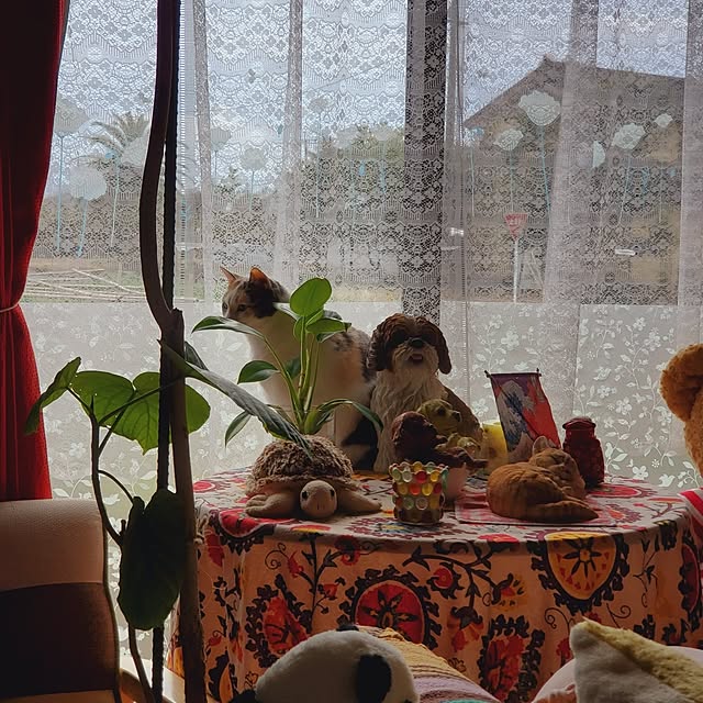 kumutanさんの部屋