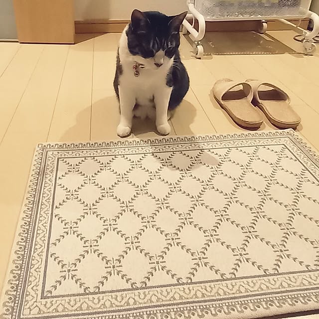 civicglさんの部屋