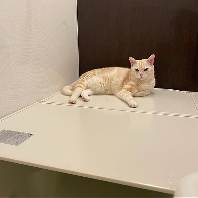hiyupan88さんの実例写真
