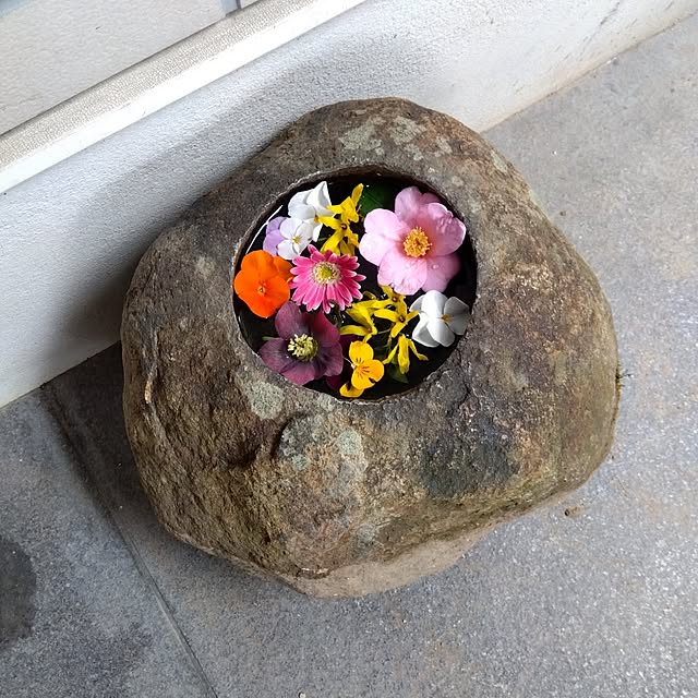 coco1204さんの部屋