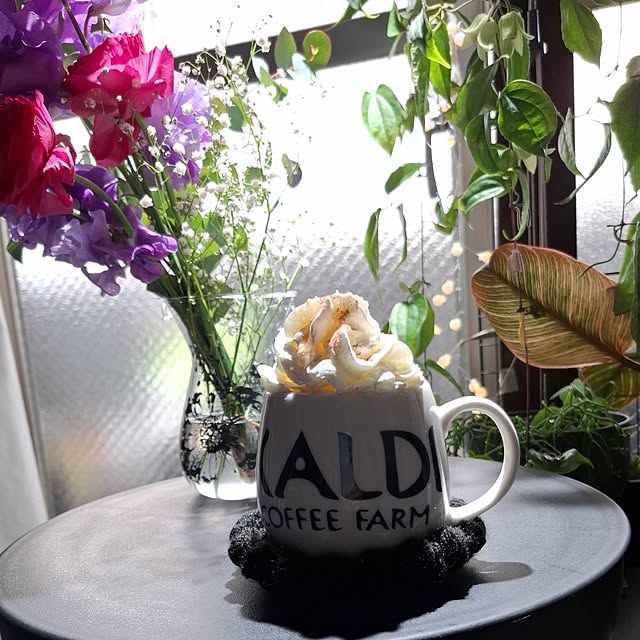 noaさんの実例写真