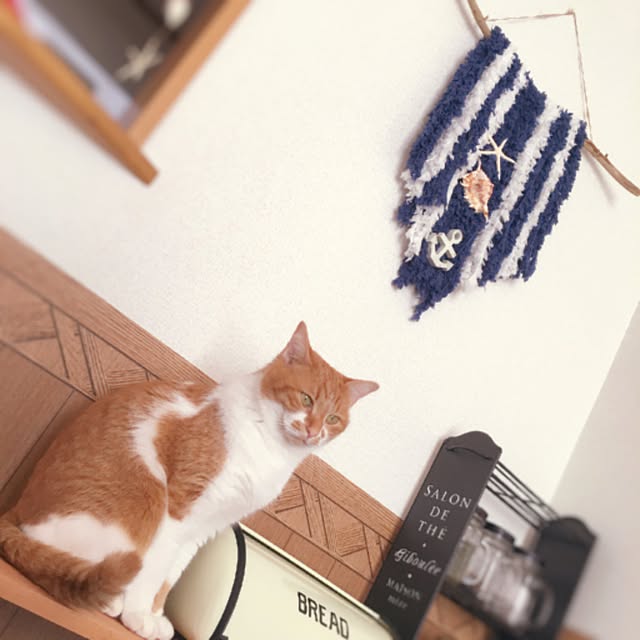 CHAMIさんの実例写真
