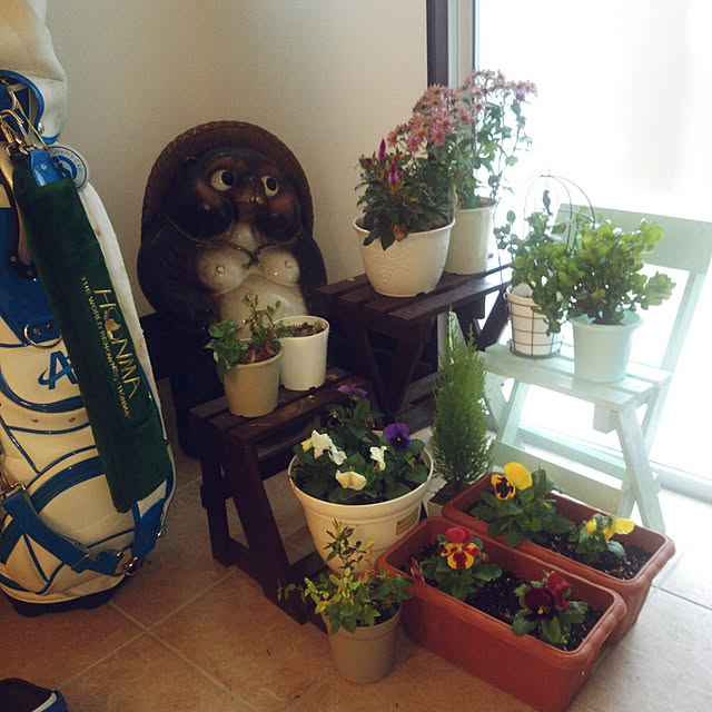 kyukyuさんの実例写真