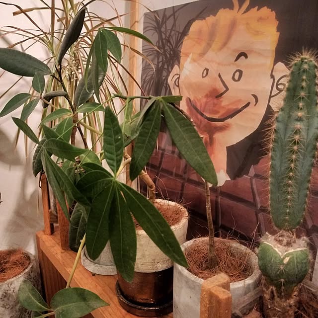 ayumiさんの部屋