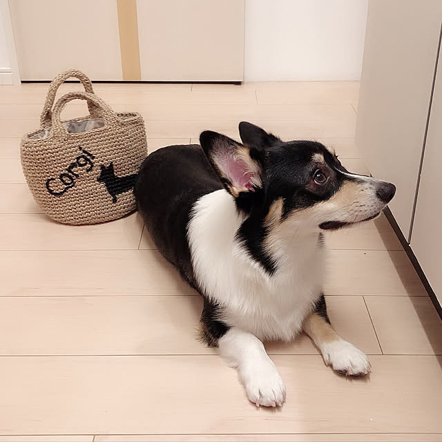 Ruiさんの実例写真