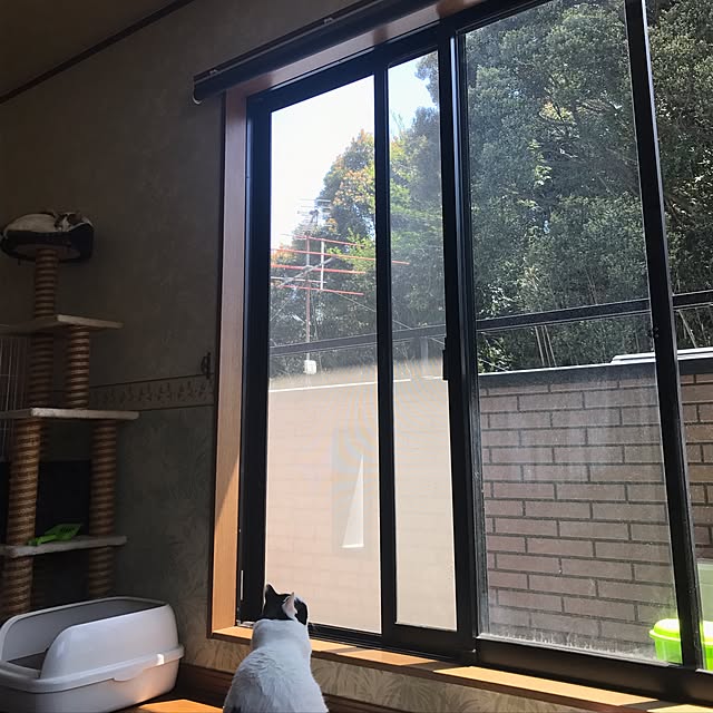 mikko3779さんの実例写真