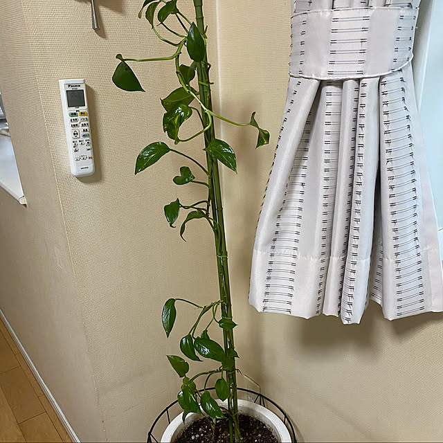 YuuKoさんの実例写真