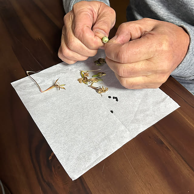 ritsukoさんの部屋