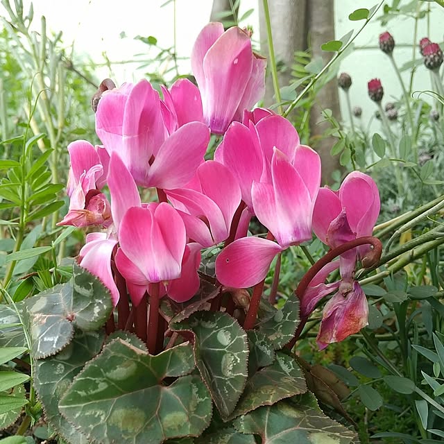 Rさんの部屋