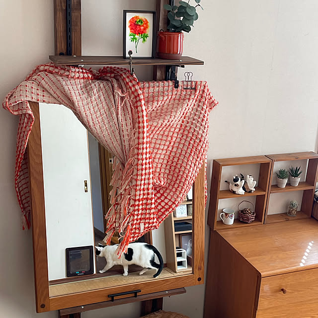 nobikoさんの部屋