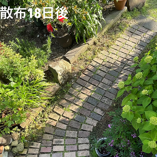 nobikoさんの実例写真