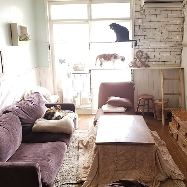 mikiさんの実例写真