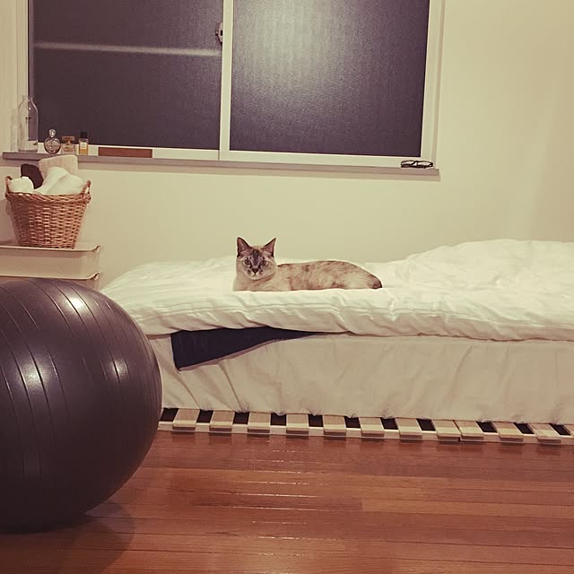 ciiimaiさんの実例写真