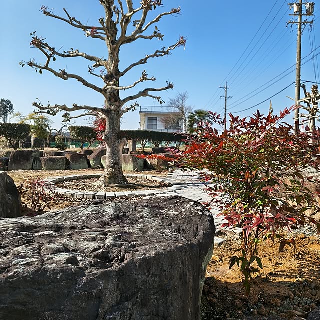 Rubiconさんの部屋