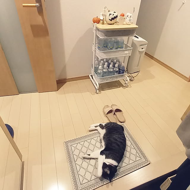 civicglさんの部屋