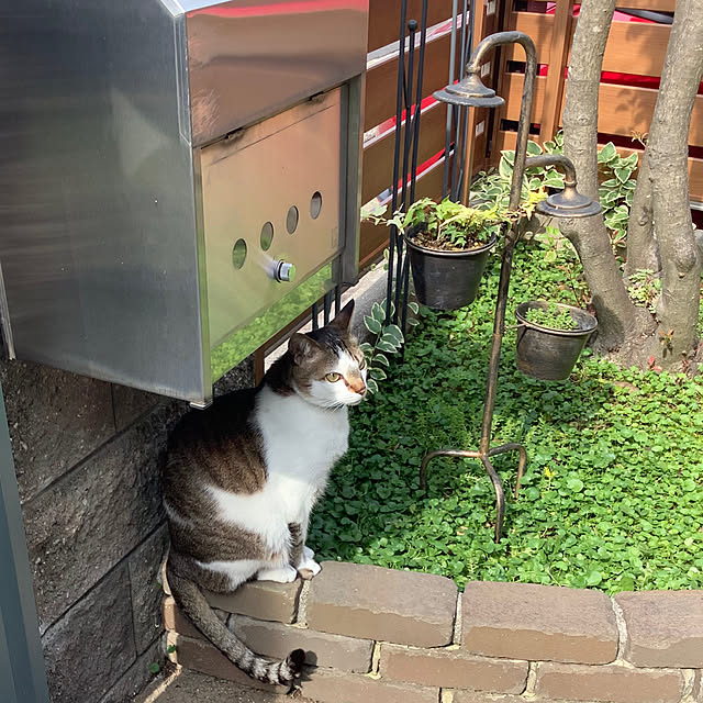 haruminさんの部屋