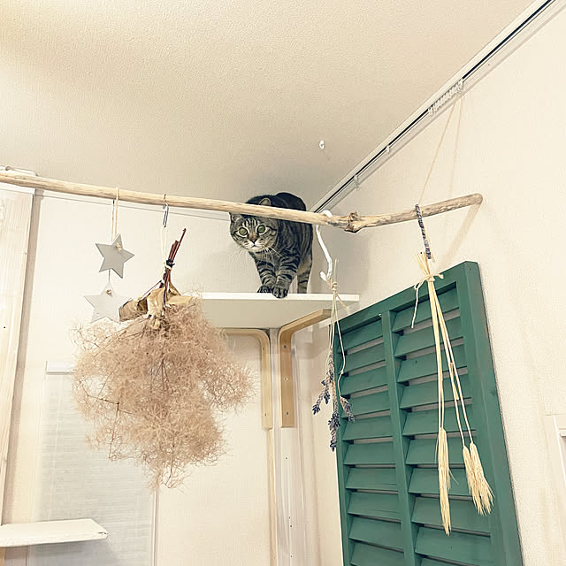t-famさんの実例写真