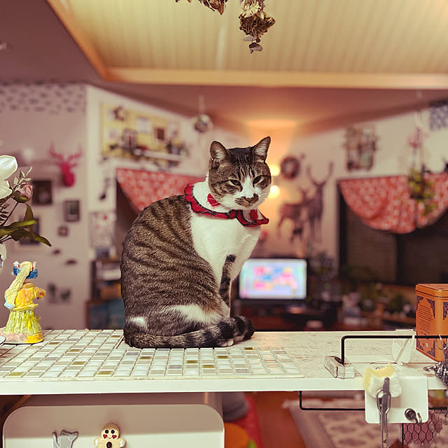jijiさんの実例写真