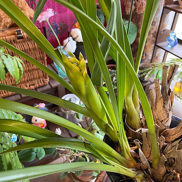 shin0719さんの部屋