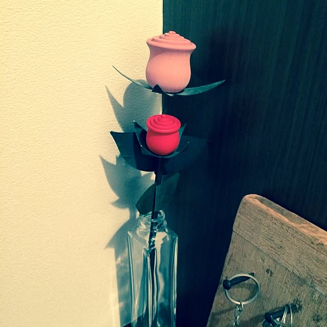 maiccaさんの実例写真