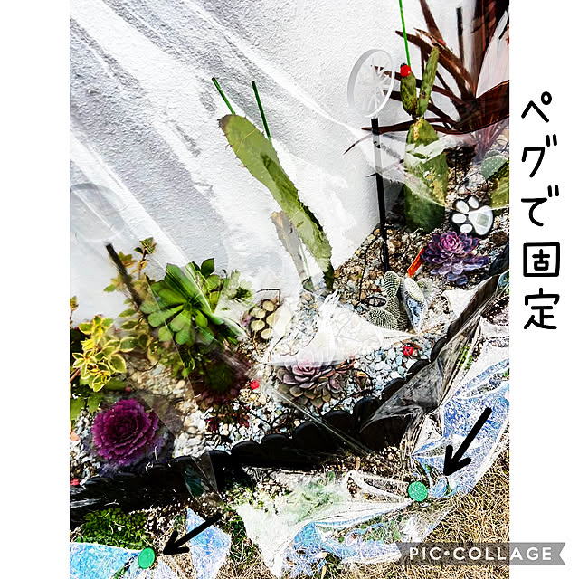 kittyさんの部屋