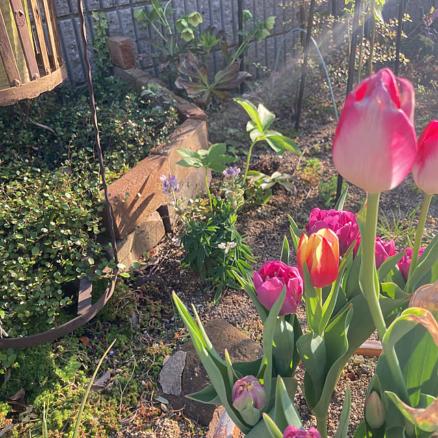 r_rさんの実例写真