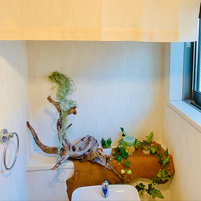 観葉植物/ニトリ/100均/バス/トイレのインテリア実例 - 2020-04-18 17:13:10