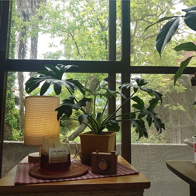 fukuさんの実例写真