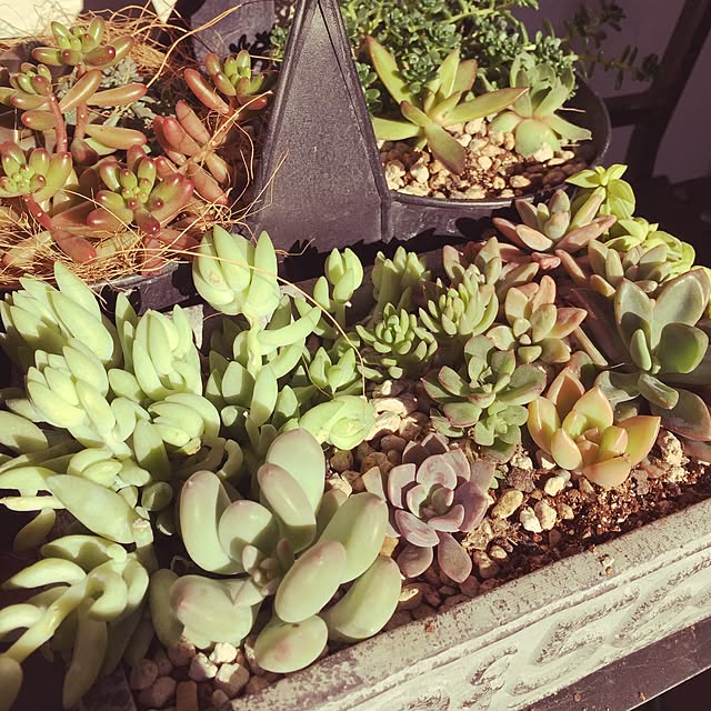 Good.smileさんの実例写真