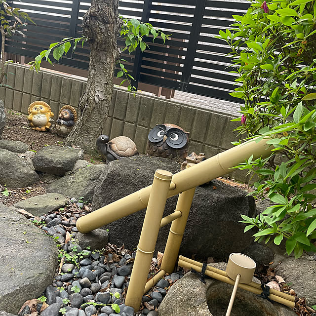 kuikoさんの部屋