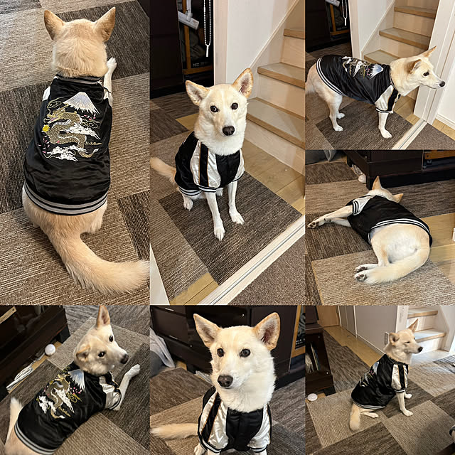 tanboさんの部屋