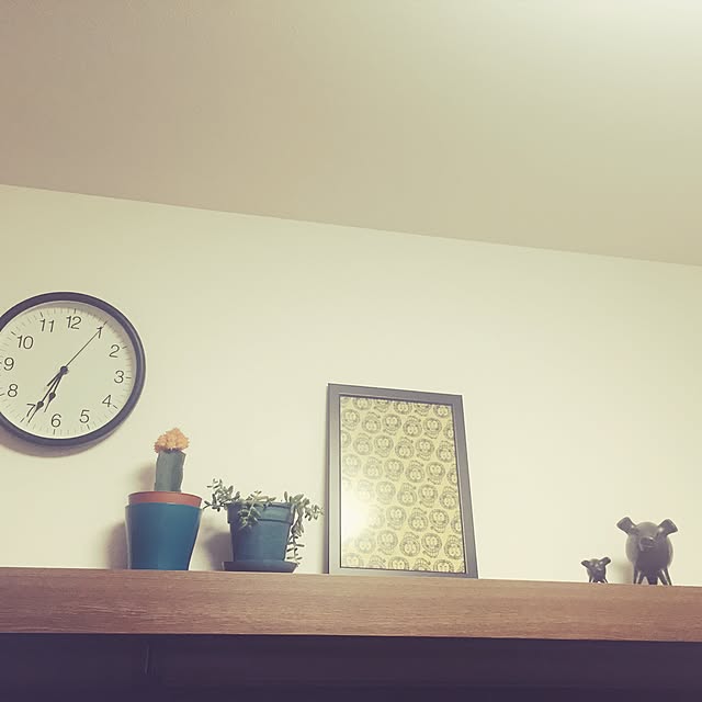 butacco029さんの実例写真