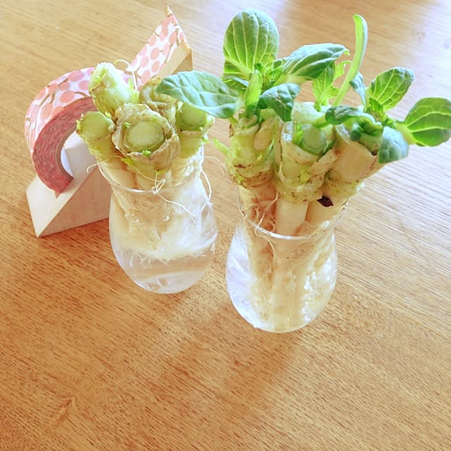 maimaiさんの実例写真