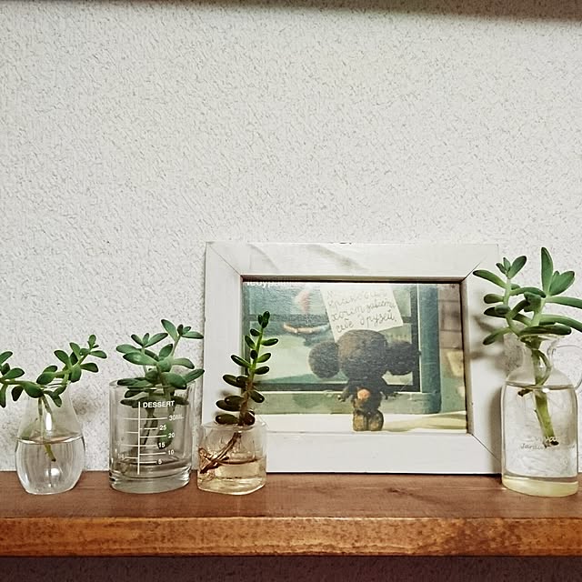 akaneさんの実例写真