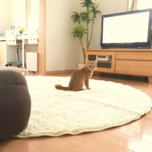 yuruttoayasanさんの実例写真